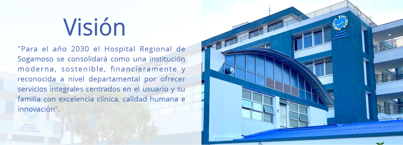 imagen vision